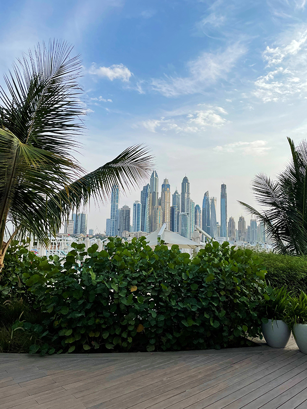 Dubai, die gr&#246;sste Stadt der Vereinigten Arabischen Emirate, beeindruckt mit ihrer atemberaubenden Skyline auch Carina. 